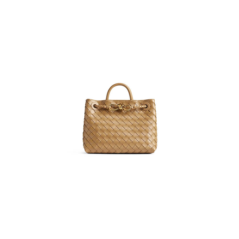 Bottega Veneta Small Andiamo